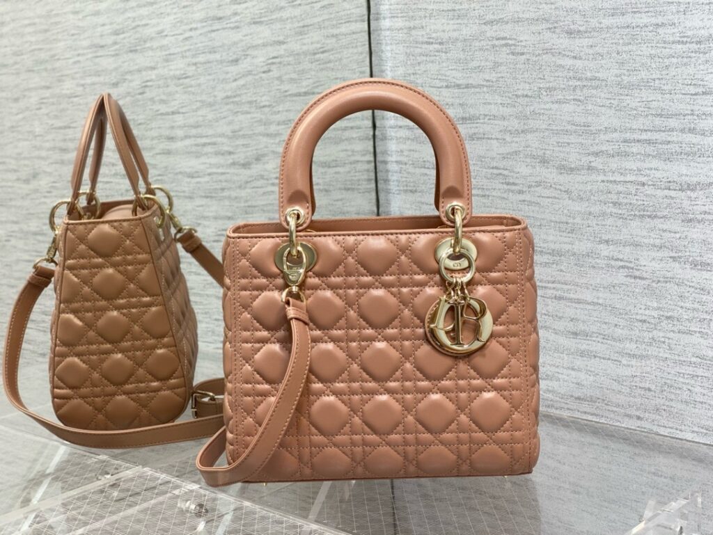 Dior-𝗗𝗜𝗢𝗥 𝗟𝗮𝗱𝘆 - Dusty Rose