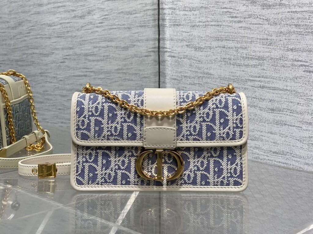Dior-Miss Caro-Embroidery